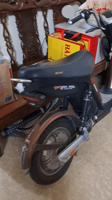 Xe đạp điện NIJIA Bản cao cấp Nâu. Mua bán Xe đạp tại Thành phố Thái Bình Thái Bình được đăng bởi Hồ Tiến hình 1