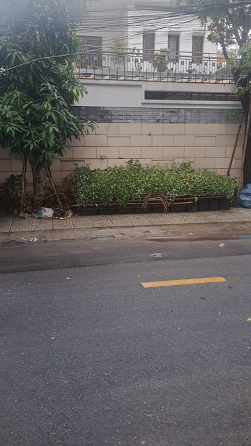 Mua bán Nhà ở Thành phố Thủ Đức Tp Hồ Chí Minh diện tích 351 m² giá 35 tỷ