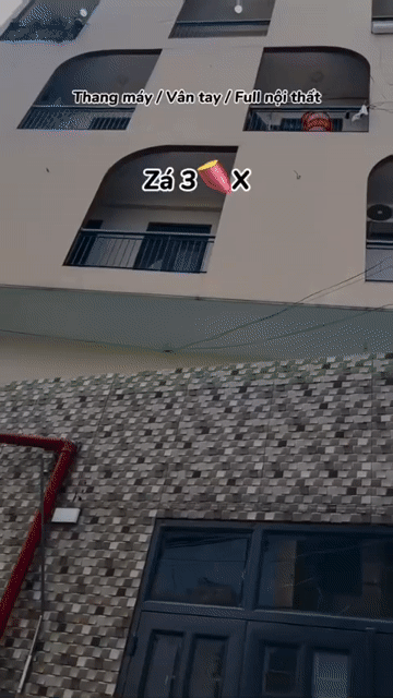 Cho thuê Căn hộ Chung cư Quận 6 Tp Hồ Chí Minh diện tích 30 m² giá 3,9 triệu/tháng