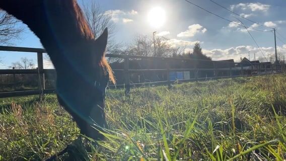 Les éleveuses de demain