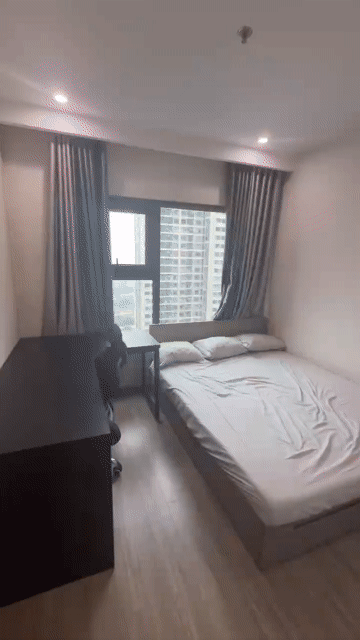 Cho thuê Căn hộ Chung cư The Sapphire-Vinhomes Smart City Quận Nam Từ Liêm Hà Nội diện tích 55 m² giá 10,5 triệu/tháng