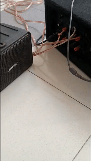Loa Bose Mini Đen. Mua bán Tivi, Âm thanh tại Thành phố Thủ Đức Tp Hồ Chí Minh được đăng bởi cường hình 1