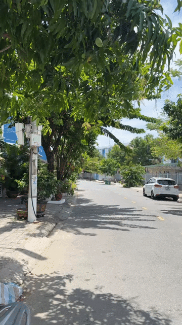 Cho thuê Đất Quận Cẩm Lệ Đà Nẵng diện tích 375 m² giá 9 triệu/tháng
