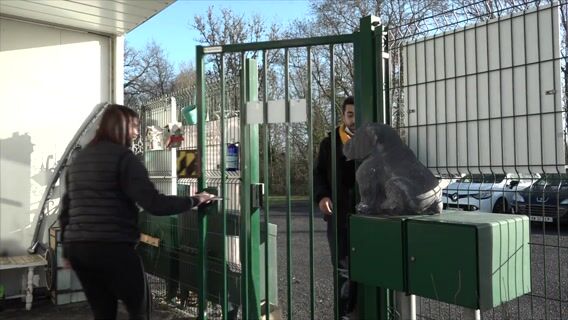 Le métier de soigneur/soigneuse animalier(e)