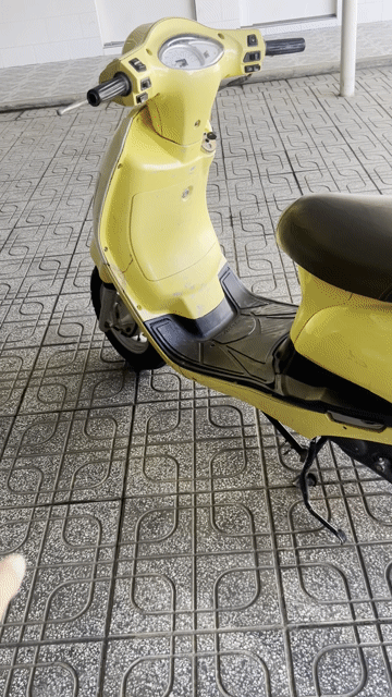 Honda Attila màu Vàng. Mua bán Xe máy tại Thành phố Tây Ninh Tây Ninh được đăng bởi Nguyễn Thành Sang hình 1