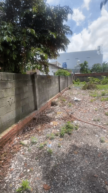 Mua bán Đất Huyện Hóc Môn Tp Hồ Chí Minh diện tích 250 m² giá 3,3 tỷ hình 2
