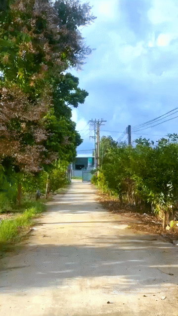 Cho thuê Văn phòng, Mặt bằng kinh doanh Huyện Thủ Thừa Long An diện tích 3000 m² giá 55 triệu/tháng