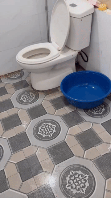 Cho thuê Phòng trọ Quận Long Biên Hà Nội diện tích 20 m² giá 2 triệu/tháng