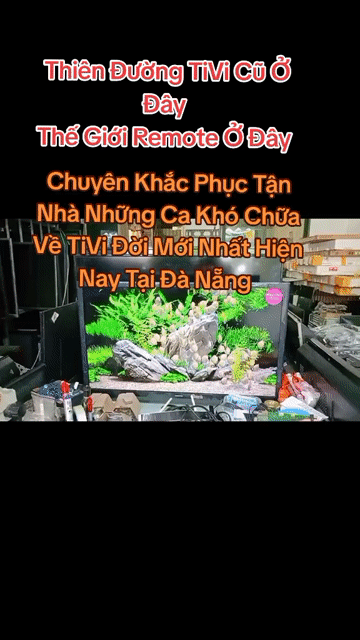 CHUYÊN SỬA📺TIVI MỎNG TẬN NHÀ ĐÀ NẴNG ~ PHƯƠNG NAM. Mua bán Tivi, Âm thanh tại Quận Cẩm Lệ Đà Nẵng được đăng bởi Hạ Trinh hình 1