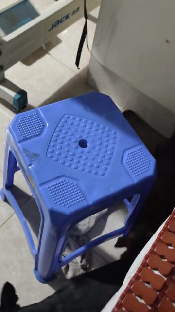Chó Phốc hươu lai cái 2 tháng. Mua bán Chó tại Quận Nam Từ Liêm Hà Nội được đăng bởi Hung hình 1