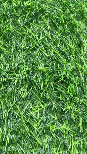 10 mét vuông thảm cỏ 3cm thường. Mua bán Cây cảnh, đồ trang trí tại Quận Bình Tân Tp Hồ Chí Minh được đăng bởi cỏ nhân tạo hình 1