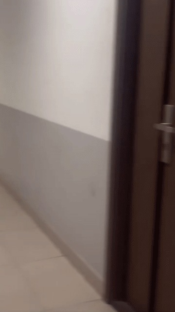Cho thuê Phòng trọ Quận 11 Tp Hồ Chí Minh diện tích 15 m² giá 4 triệu/tháng