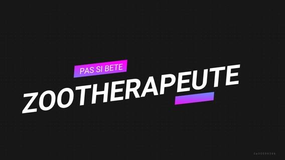 Zoothérapeute "Pas si bête".