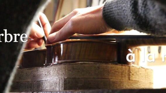 De l'arbre à la Musique