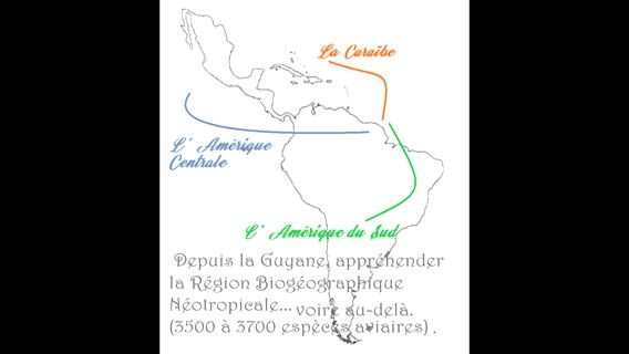 L'Expert(e) de la Région Biogéographique Néotropicale.