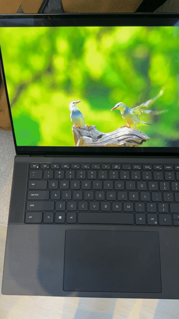 Dell Precision 5560 i7-11850H 16/512/T1200 4K USA. Mua bán Laptop tại Quận Gò Vấp Tp Hồ Chí Minh được đăng bởi Nguyễn Đình Nguyên hình 1