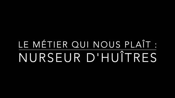 Le métier d'écloseur nurseur d'huîtres