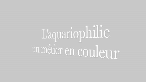 Aquariophiliste, un métier "eau " en couleur