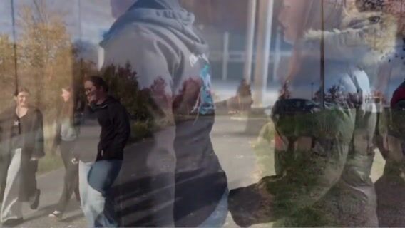 Mon métier, ma passion : Une journée de travail aux écuries