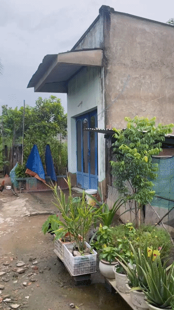 Mua bán Đất Huyện Cần Giuộc Long An diện tích 75 m² giá 870 triệu