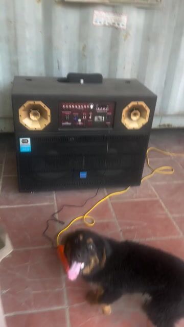 Loa ngoài trời OXX Đen Đã sử dụng. Mua bán Tivi, Âm thanh tại Quận Hoàng Mai Hà Nội được đăng bởi Dương Hoang hình 1