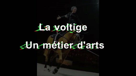 Coaching voltige équestre