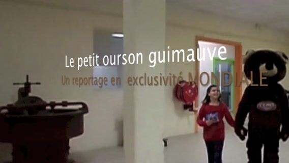 Le petit ourson guimauve - un reportage en exclusivité MONDIALE