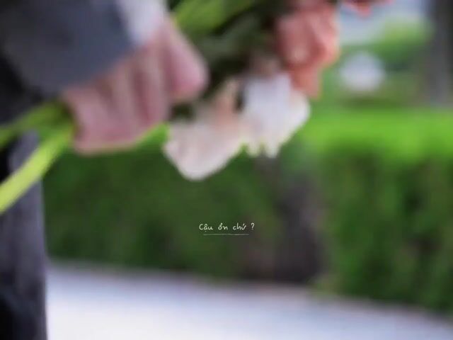 Pass áo mới. Mua bán Quần áo tại Huyện Châu Thành Trà Vinh được đăng bởi Nguyễn Hải Tiến hình 1