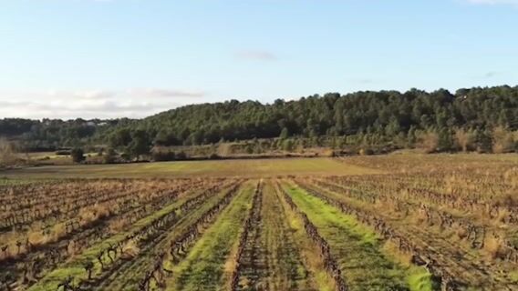 Pendant ce temps-là ma vie d'apprenti!