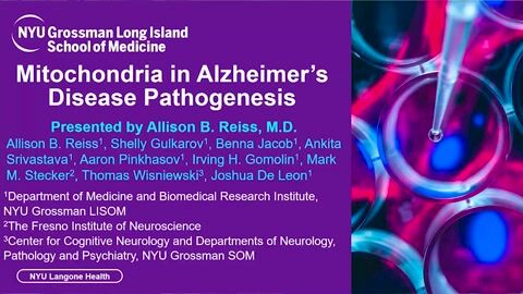 Mitochondria in Alzheimer’s Disease Pathogenesis
