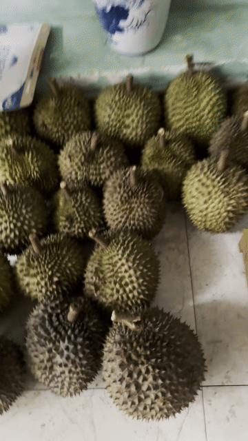 Sầu riêng Chín Cây - Không Thuốc. Mua bán Đồ ăn, thực phẩm và các loại khác tại Quận 12 Tp Hồ Chí Minh được đăng bởi Thắm Nguyễn hình 1