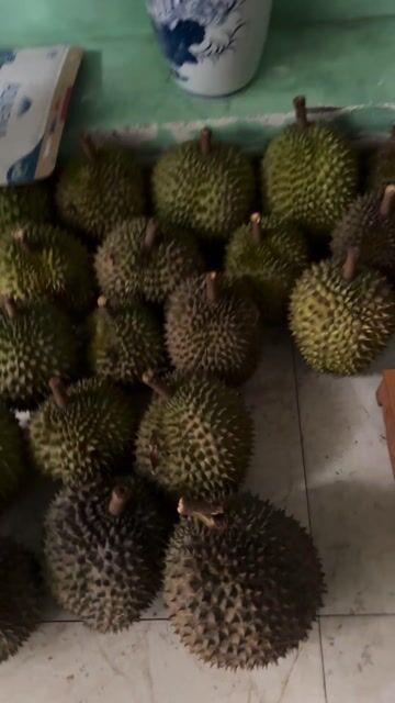 Sầu riêng Chín Cây - Không Thuốc. Mua bán Đồ ăn, thực phẩm và các loại khác tại Quận 12 Tp Hồ Chí Minh được đăng bởi Thắm Nguyễn hình 1