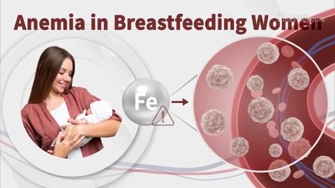Encyclopedia-Maternal Anemia During Breastfeeding and Offspring Health Indonesia