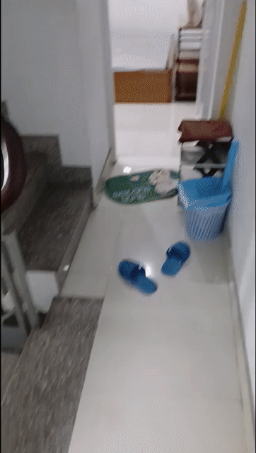 Cho thuê Phòng trọ Quận 3 Tp Hồ Chí Minh diện tích 15 m² giá 3,3 triệu/tháng
