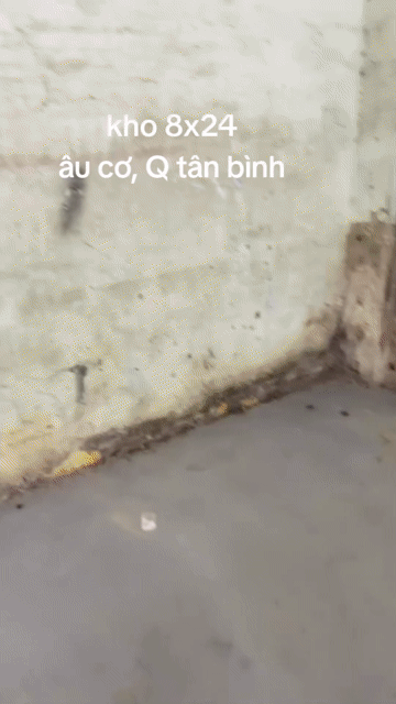 Cho thuê Văn phòng, Mặt bằng kinh doanh Quận Tân Bình Tp Hồ Chí Minh diện tích 200 m² giá 25 triệu/tháng