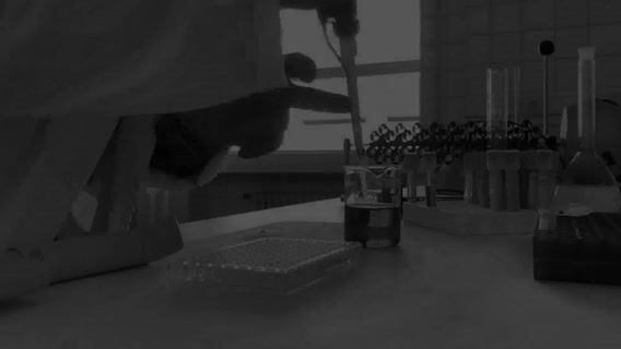 Petit métier, grandes solutions