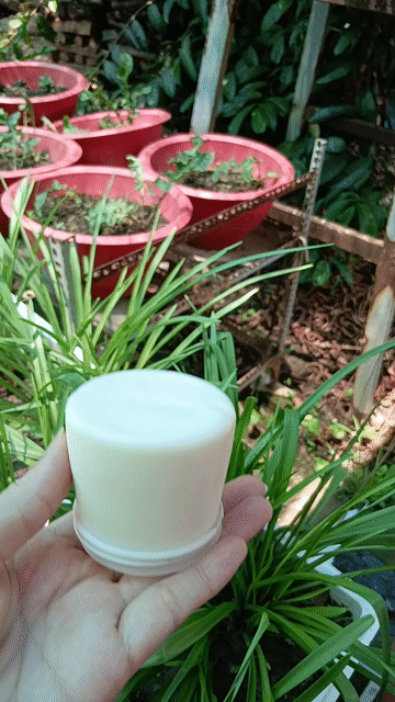 Sữa chua Nguyên chất Bịch Nhà làm. Mua bán Đồ ăn, thực phẩm và các loại khác tại Quận Cái Răng Cần Thơ được đăng bởi NAS Shop hình 1