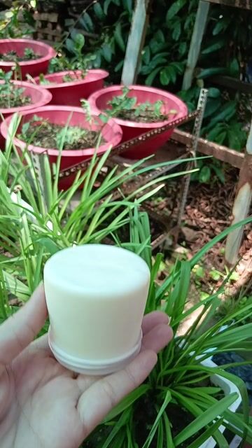 Sữa chua Nguyên chất Bịch Nhà làm. Mua bán Đồ ăn, thực phẩm và các loại khác tại Quận Cái Răng Cần Thơ được đăng bởi NAS Shop hình 1