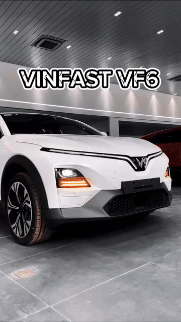 VF6 BAO HS KHÓ-120TR NHẬN XE-BAO FLATFORM, GRAP,!. Mua bán Ô tô tại Quận 7 Tp Hồ Chí Minh được đăng bởi VINFAST LANDMARK hình 1
