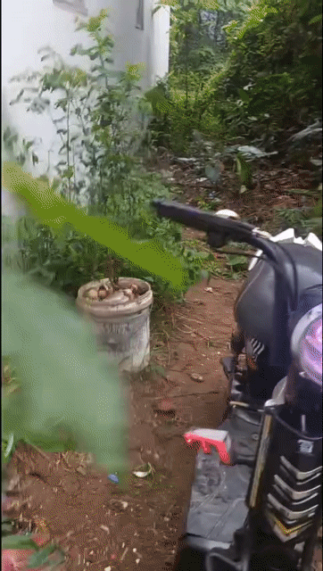 Xe đạp điện M133 Đen. Mua bán Xe đạp tại Huyện Thanh Oai Hà Nội được đăng bởi thang hình 1