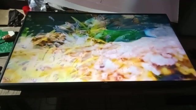 Tivi TCL Đen. Mua bán Tivi, Âm thanh tại Huyện Mỏ Cày Nam Bến Tre được đăng bởi Đinh Thuận hình 1