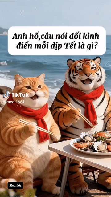 Aicần. Mua bán Mèo tại Thành phố Vũng Tàu Bà Rịa - Vũng Tàu được đăng bởi Quynh Bui Cong hình 1