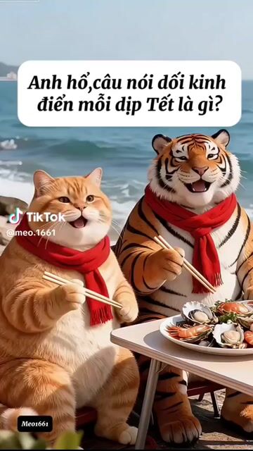 Aicần. Mua bán Mèo tại Thành phố Vũng Tàu Bà Rịa - Vũng Tàu được đăng bởi Quynh Bui Cong hình 1