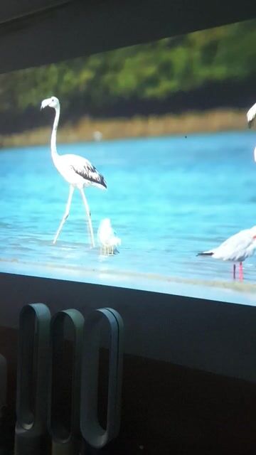 Máy chiếu Epson Home Cinema 8100. Mua bán Đồ dùng văn phòng tại Quận Bình Tân Tp Hồ Chí Minh được đăng bởi Quốc khả hình 1