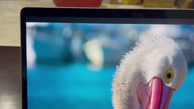 Apple Macbook Pro i5 13 inch 8GB/256GB. Mua bán Laptop tại Quận Bình Tân Tp Hồ Chí Minh được đăng bởi Tài huỳnh hình 1