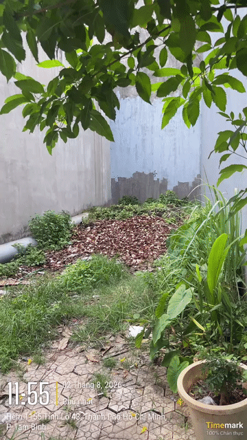 Mua bán Đất Thành phố Thủ Đức Tp Hồ Chí Minh diện tích 53.7999 m² giá 3,2 tỷ