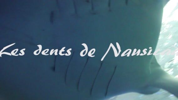 Les dents de Nausica