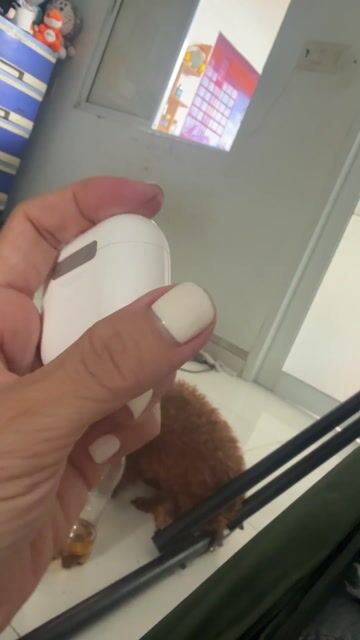 Tai nghe Apple AirPods 4 Trắng. Mua bán Tivi, Âm thanh tại Thành phố Mỹ Tho Tiền Giang được đăng bởi Đoàn ngọc vân anh hình 1