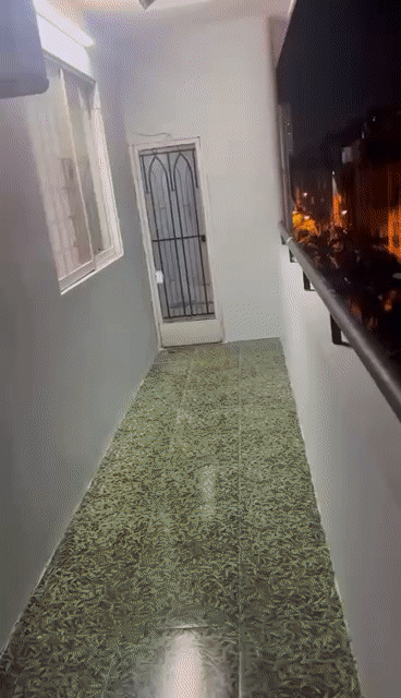 Cho thuê Phòng trọ Quận 8 Tp Hồ Chí Minh diện tích 25 m² giá 4 triệu/tháng