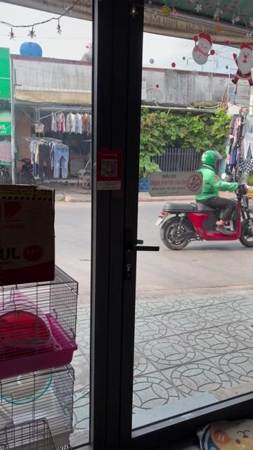Bọ ú việt,ú ngoại, thỏ baby giá bình dân ạ.. Mua bán Thú cưng khác tại Quận Bình Tân Tp Hồ Chí Minh được đăng bởi FB Pé Chó Shop hình 1